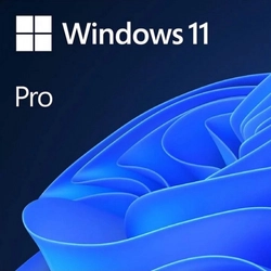 Операционная система Microsoft Windows 11 Pro 64Bit Eng Intl 1pk DSP OEI DVD FQC-10528 (Windows 11)